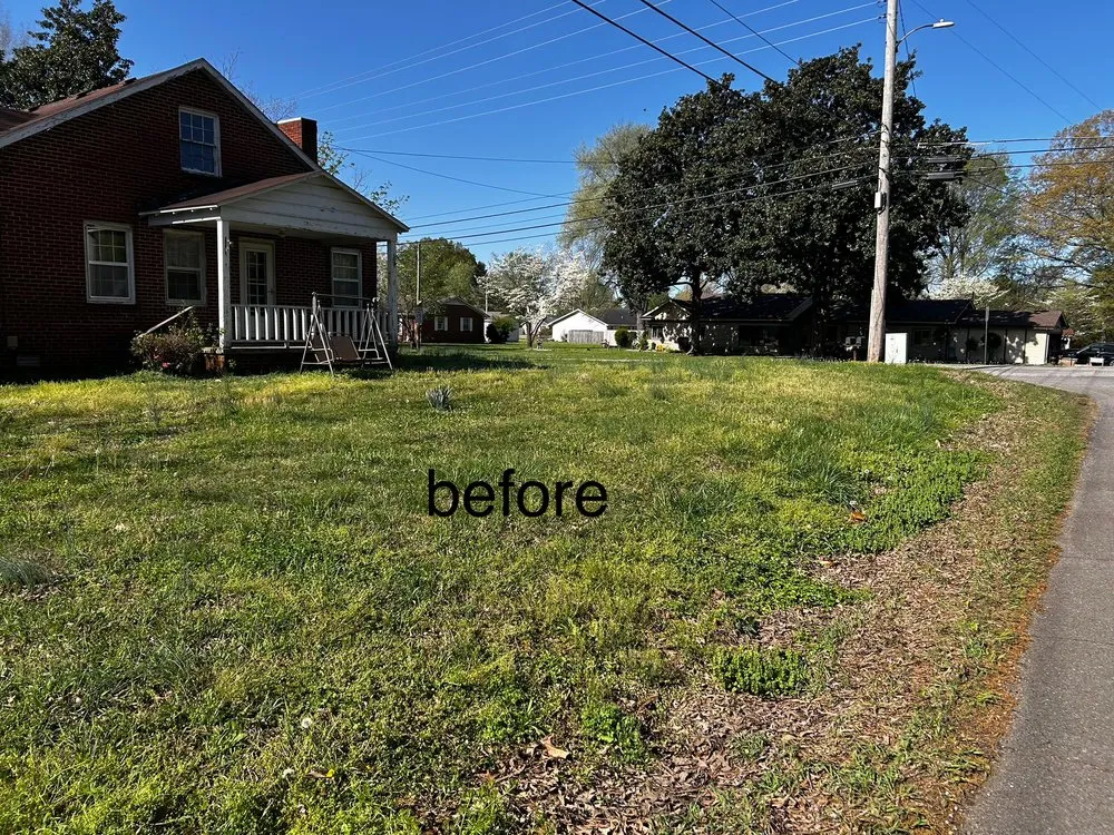 Custom yard cleanup service in McKenzie, TN by Pettit Lawn Care