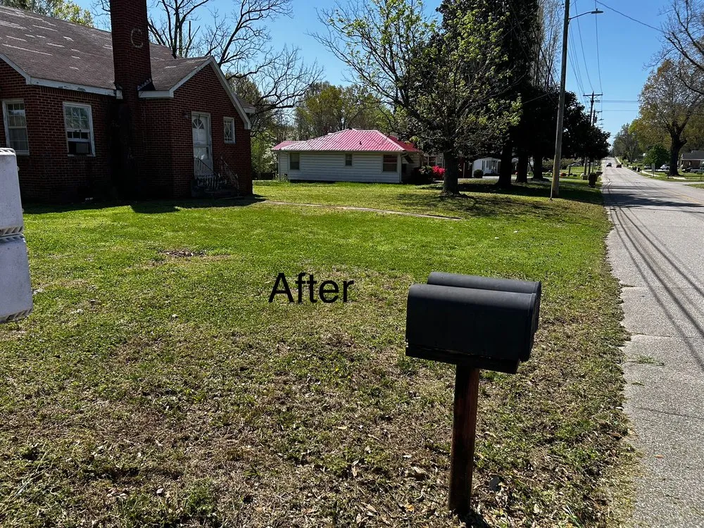 Custom yard cleanup service for outdoor upgrades in McKenzie, TN by Pettit Lawn Care