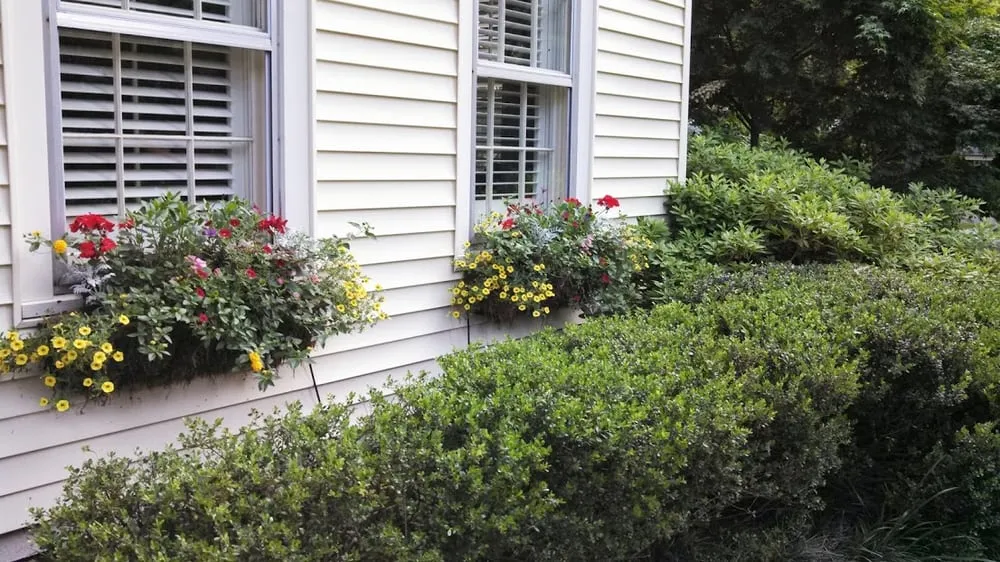 Top-rated landscape design in Memphis, TN by Pettit's Lawnscapes