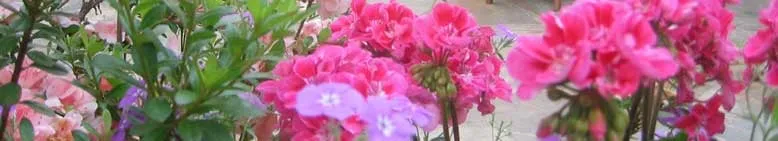 Local garden landscaping in Memphis, TN by Pettit's Lawnscapes