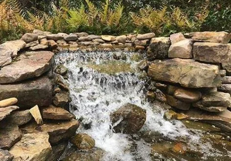 Top-rated landscaping services for outdoor upgrades across Memphis, TN - Pettit's Lawnscapes