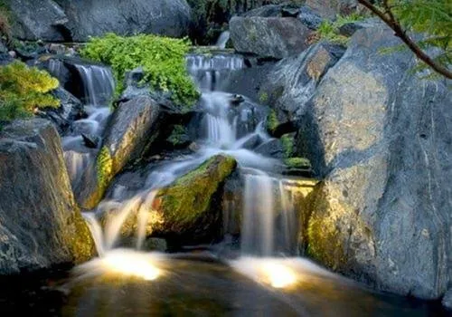 Reliable lawn care service with custom design in Memphis, TN by Pettit's Lawnscapes