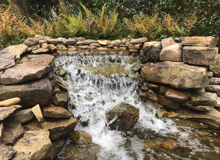 Professional lawn care service near you across Memphis, TN - Pettit's Lawnscapes