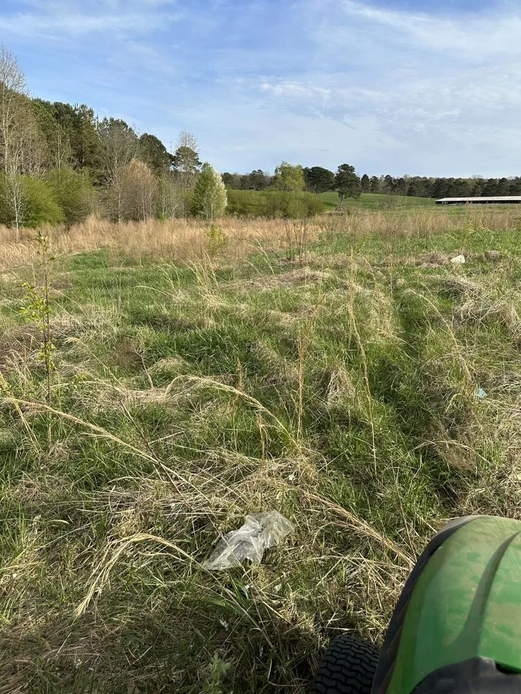 Professional yard maintenance with custom design across Boaz, AL - Pettus Pro Clean