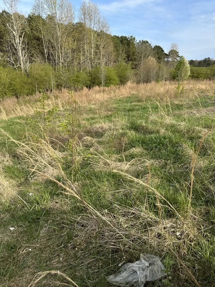 Expert lawn care service in Boaz, AL by Pettus Pro Clean