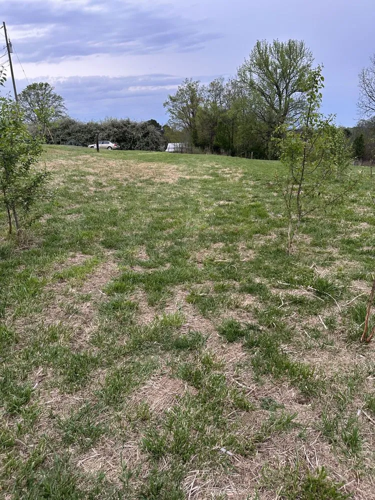 Top-rated landscape installation experts serving Boaz, AL - Pettus Pro Clean