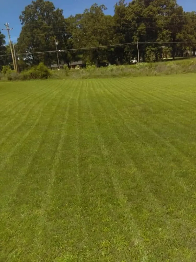 Affordable landscaping services in Charlotte, TN by Petty & Sons Outdoor Services