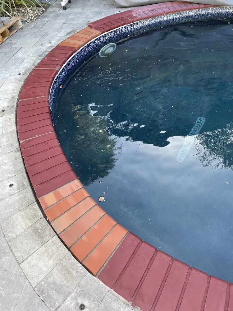 Top-rated yard cleanup service near you across Novato, CA - Petty Masonry