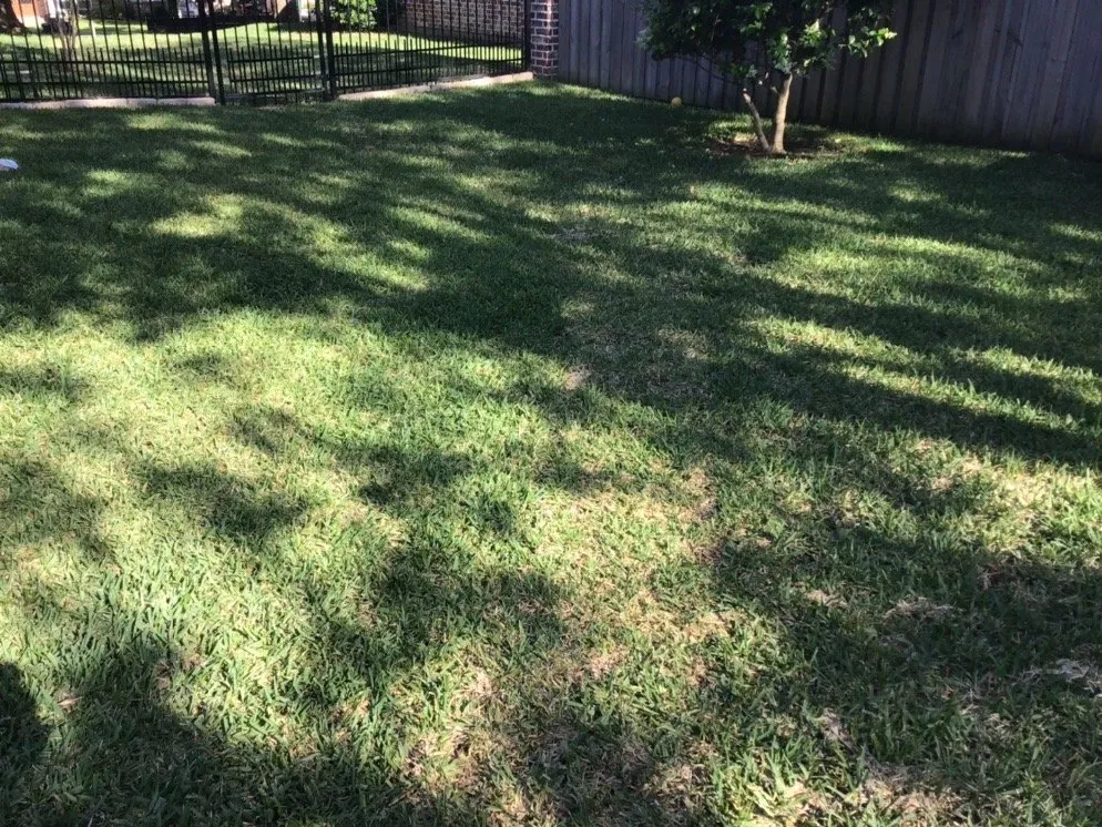 Reliable garden landscaping experts serving Tyler, TX - Petty's Irrigation, Landscape and Pest Control