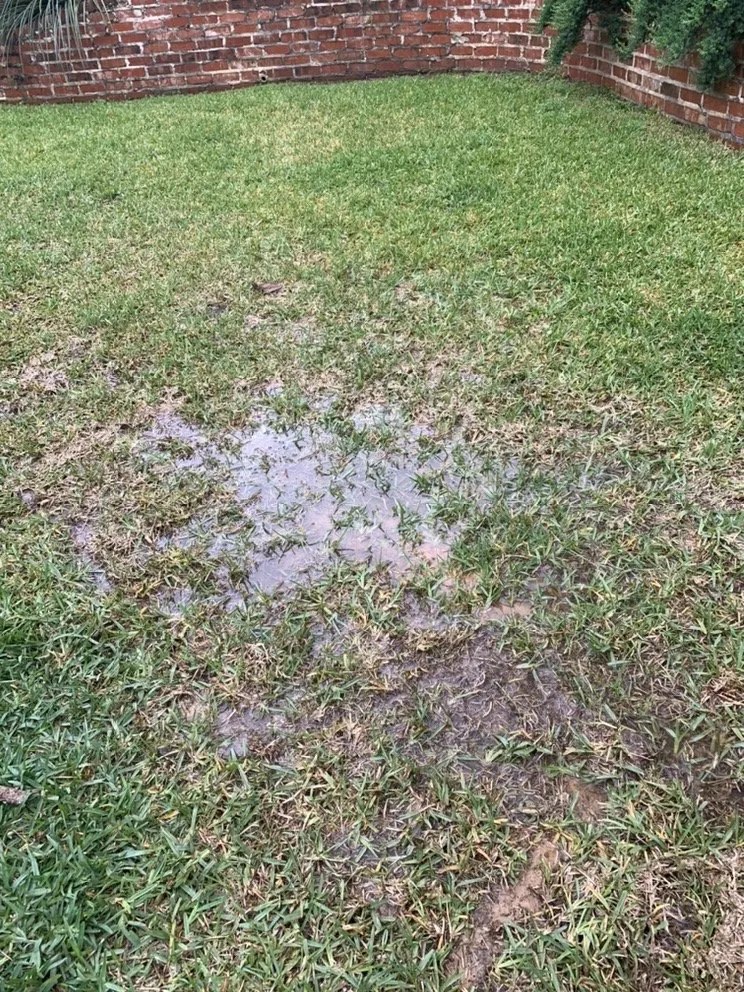 Local lawn care service in Tyler, TX - Petty's Irrigation, Landscape and Pest Control