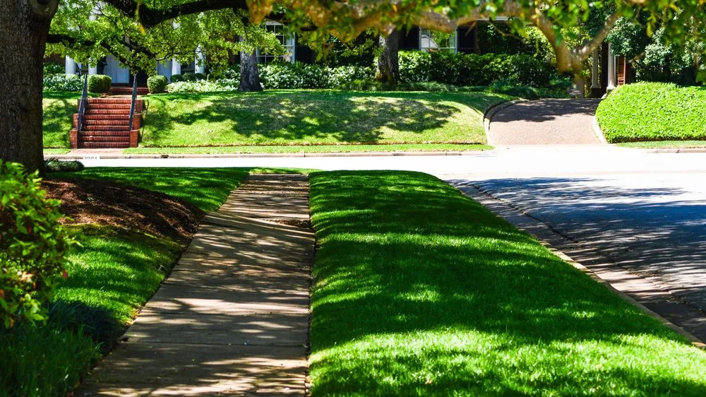 Expert landscape design experts serving Tyler, TX - Petty's Irrigation, Landscape and Pest Control