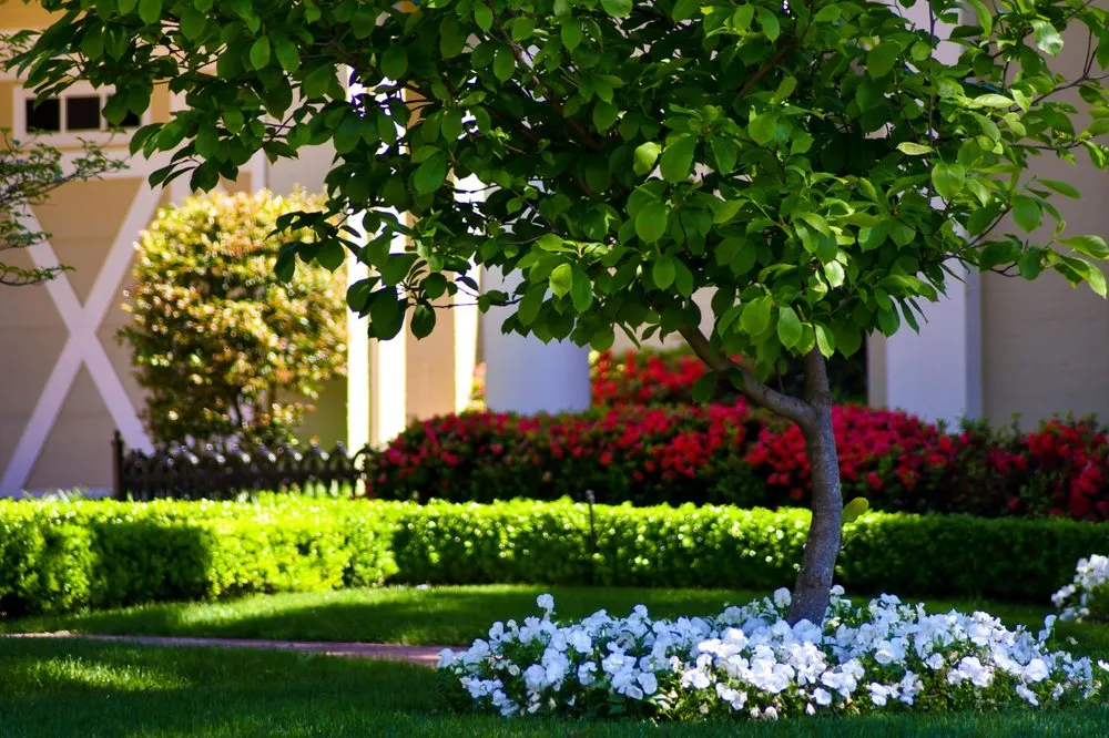 Reliable lawn mowing service in Tyler, TX by Petty's Irrigation, Landscape and Pest Control