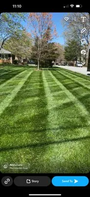 Petty's Lawn Solutions Logo