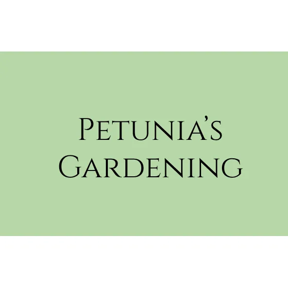 Trusted lawn care service experts serving Seattle, WA - Petunia's Gardening