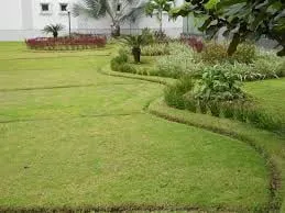 Local residential landscaping in Seattle, WA by Petunia's Gardening