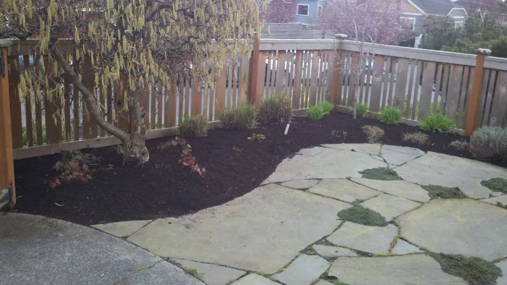 Top-rated landscape design with custom design in Seattle, WA by Petunia's Gardening