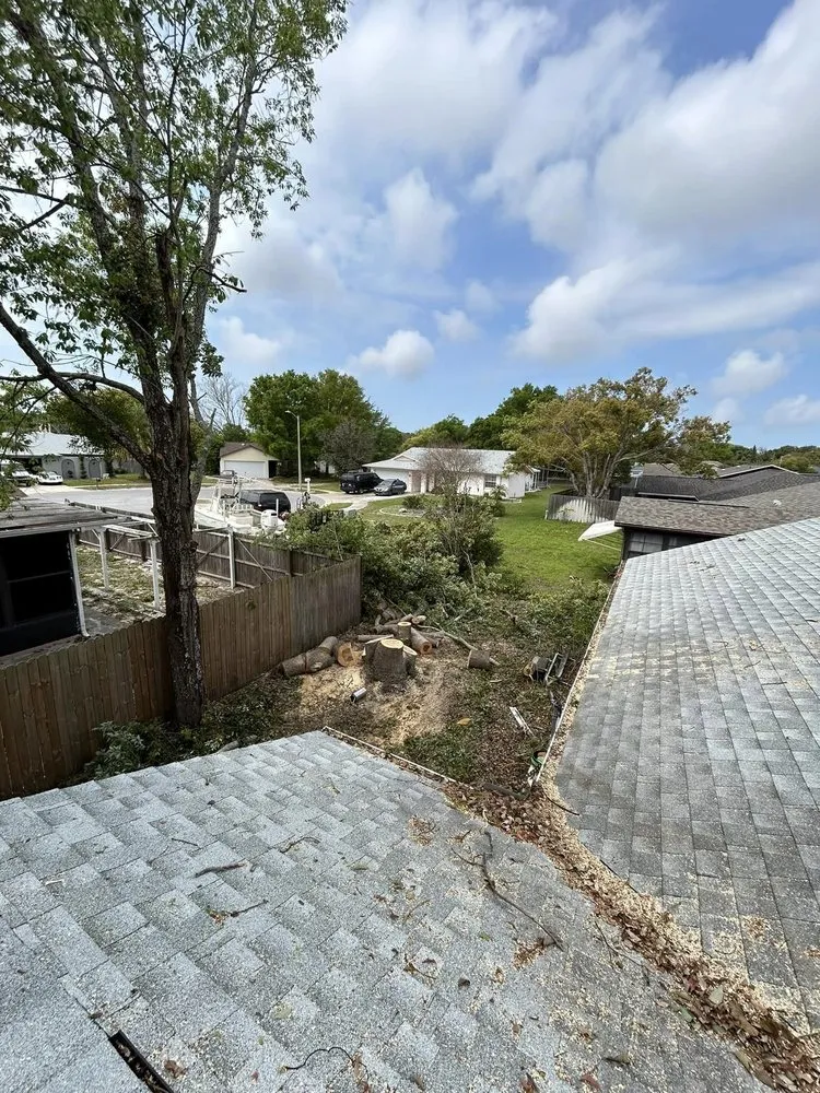 Affordable yard cleanup service with custom design across Port Richey, FL - Petunias Property Care