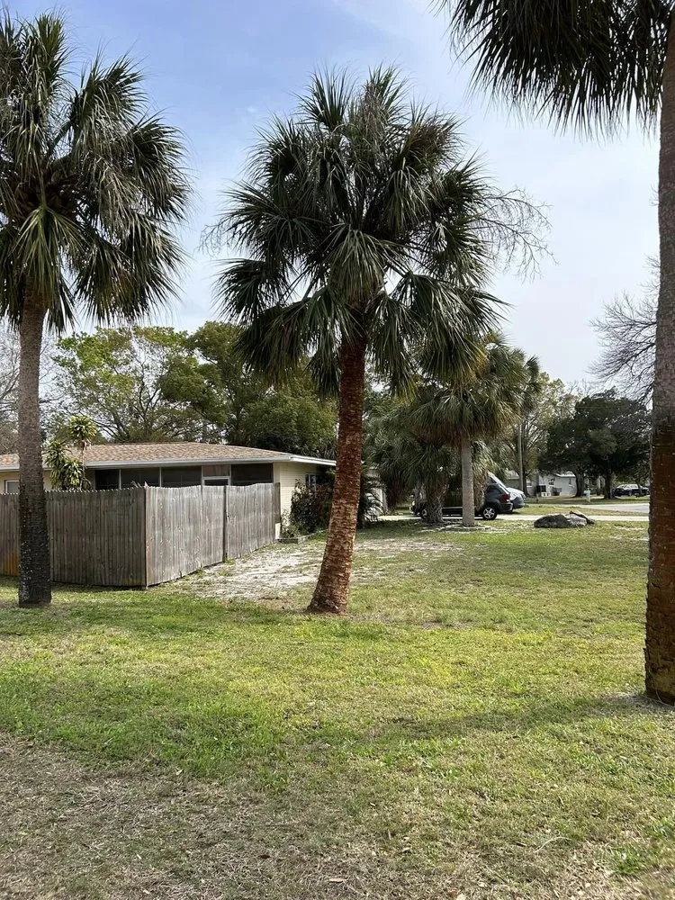 Top-rated landscape design experts serving Port Richey, FL - Petunias Property Care