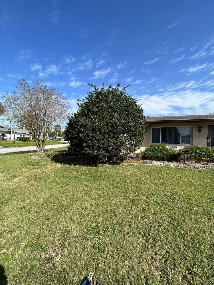 Reliable landscape design in Port Richey, FL by Petunias Property Care