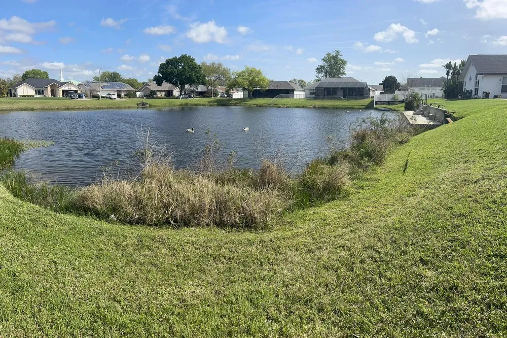 Professional landscape installation for homes in Port Richey, FL by Petunias Property Care