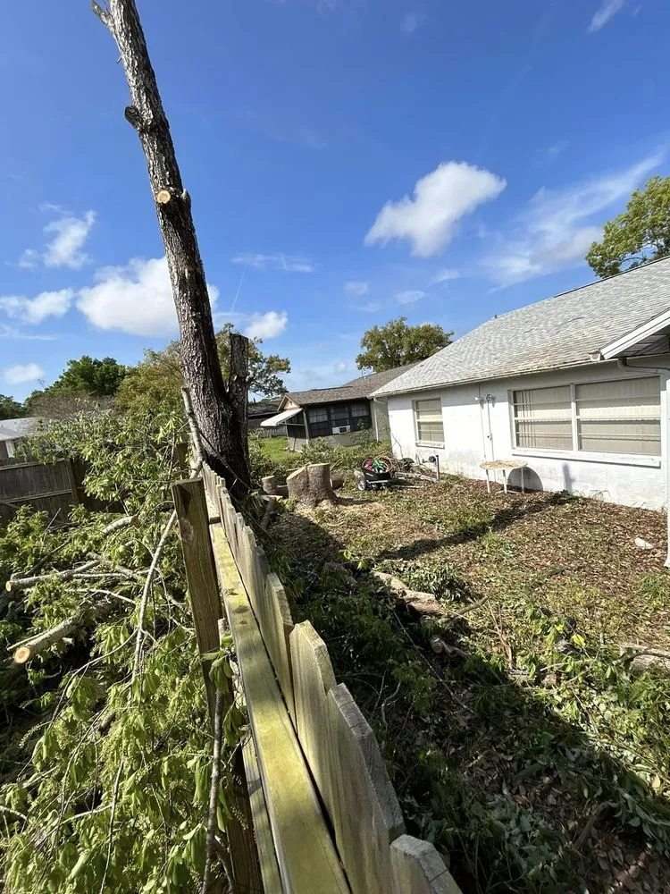 Local yard cleanup service in Port Richey, FL by Petunias Property Care