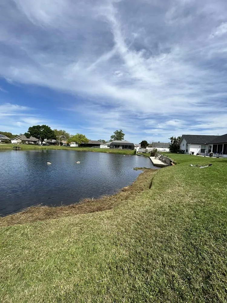 Professional garden landscaping for homes across Port Richey, FL - Petunias Property Care