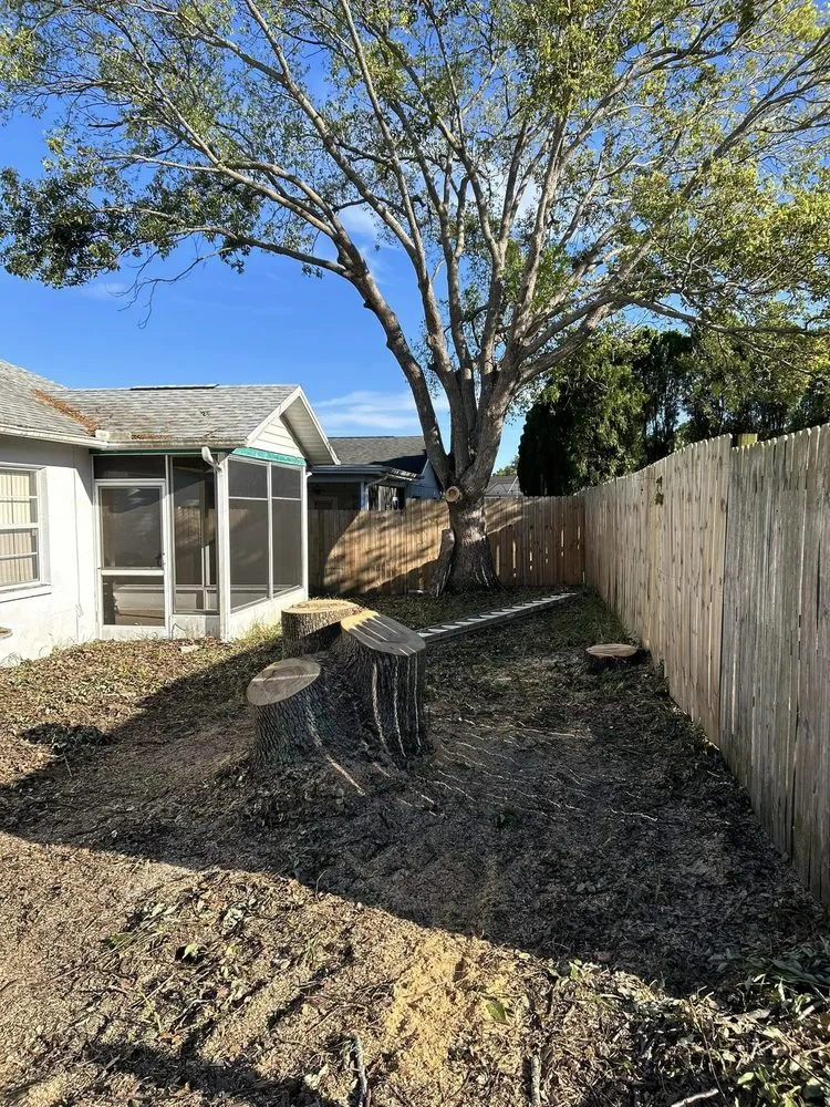 Local outdoor landscaping experts serving Port Richey, FL - Petunias Property Care