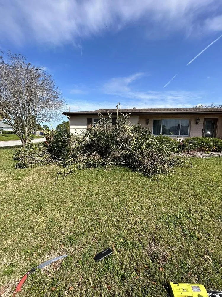 Top-rated residential landscaping for residential properties in Port Richey, FL by Petunias Property Care