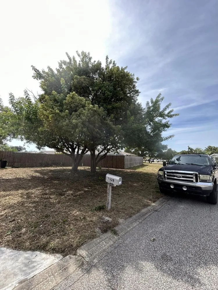 Trusted lawn mowing service in Port Richey, FL - Petunias Property Care