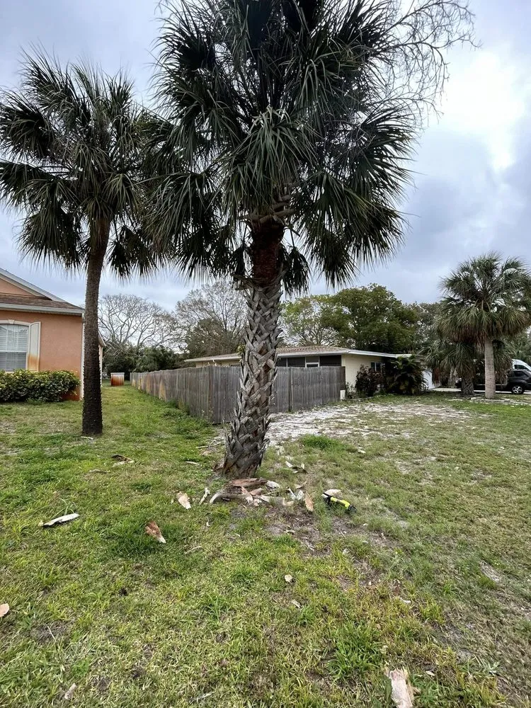 Professional landscape installation experts serving Port Richey, FL - Petunias Property Care