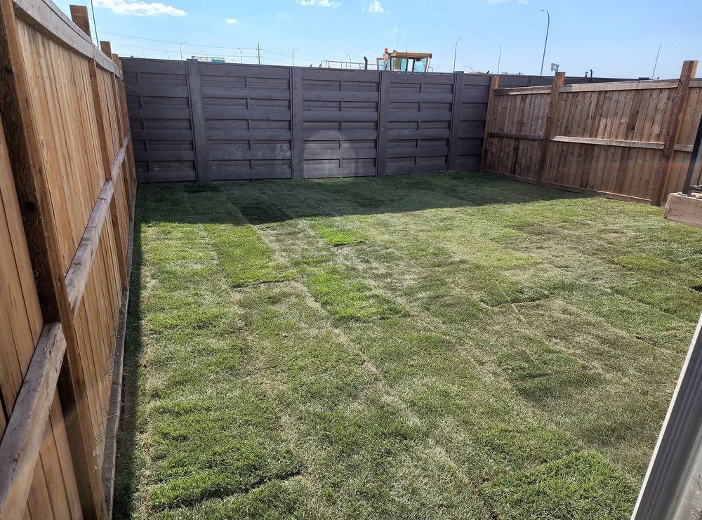 Local yard maintenance in Washington DC, DC by Petworth Lawn Care