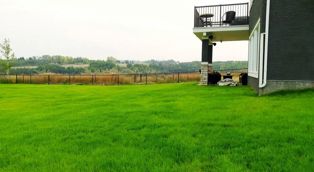 Trusted outdoor landscaping experts serving Washington DC, DC - Petworth Lawn Care