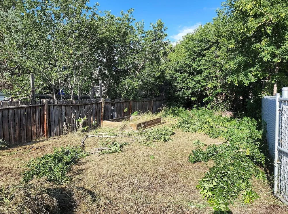 Custom garden landscaping for outdoor upgrades across Washington DC, DC - Petworth Lawn Care