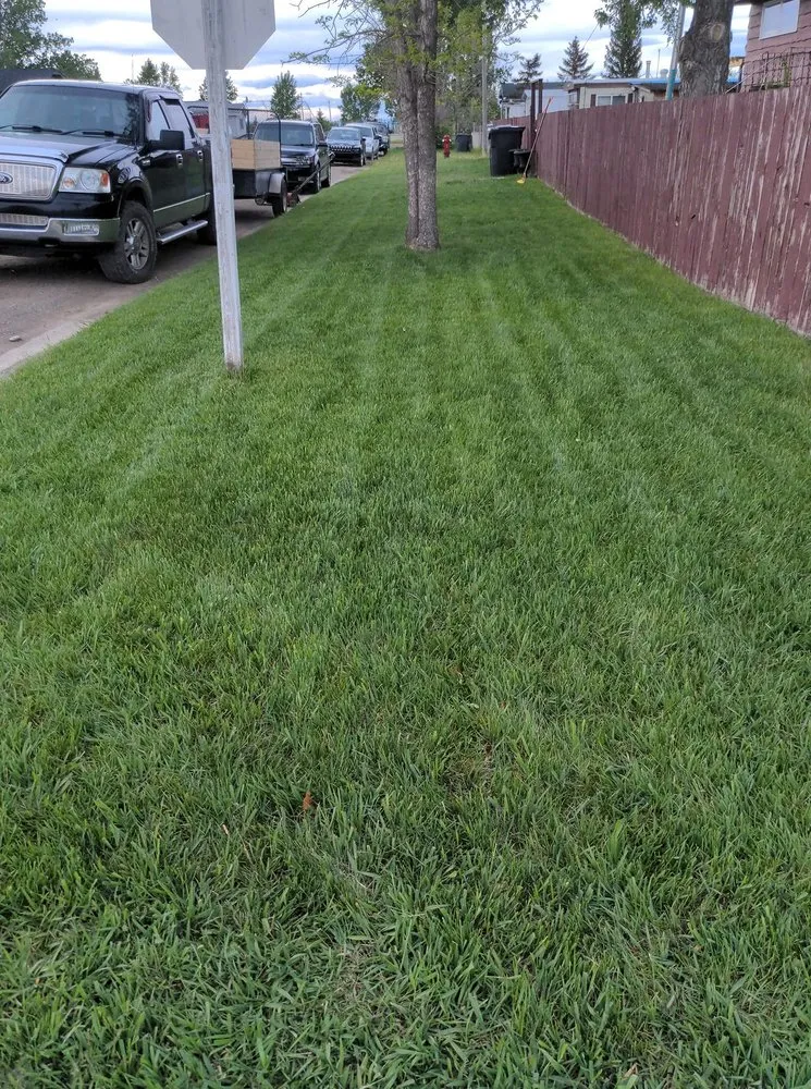 Professional landscape design in Washington DC, DC by Petworth Lawn Care