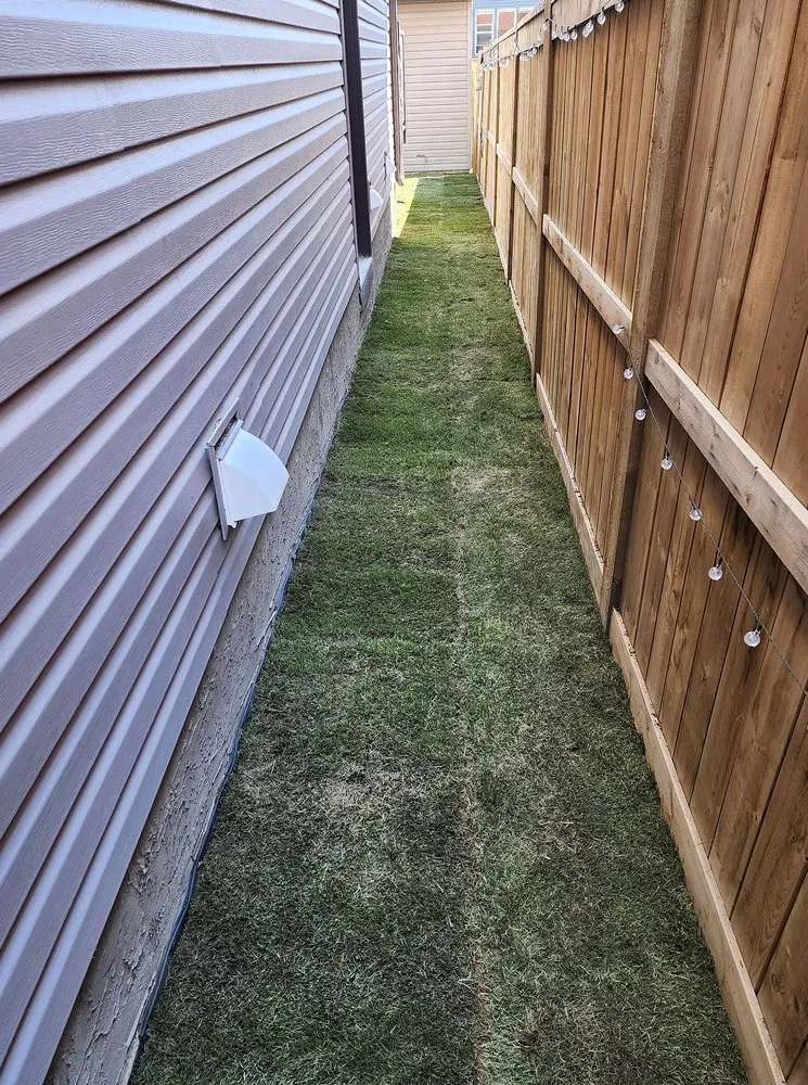 Expert yard maintenance experts serving Washington DC, DC - Petworth Lawn Care