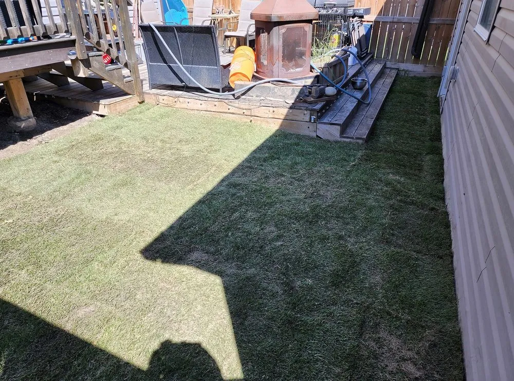 Custom landscape installation in Washington DC, DC by Petworth Lawn Care