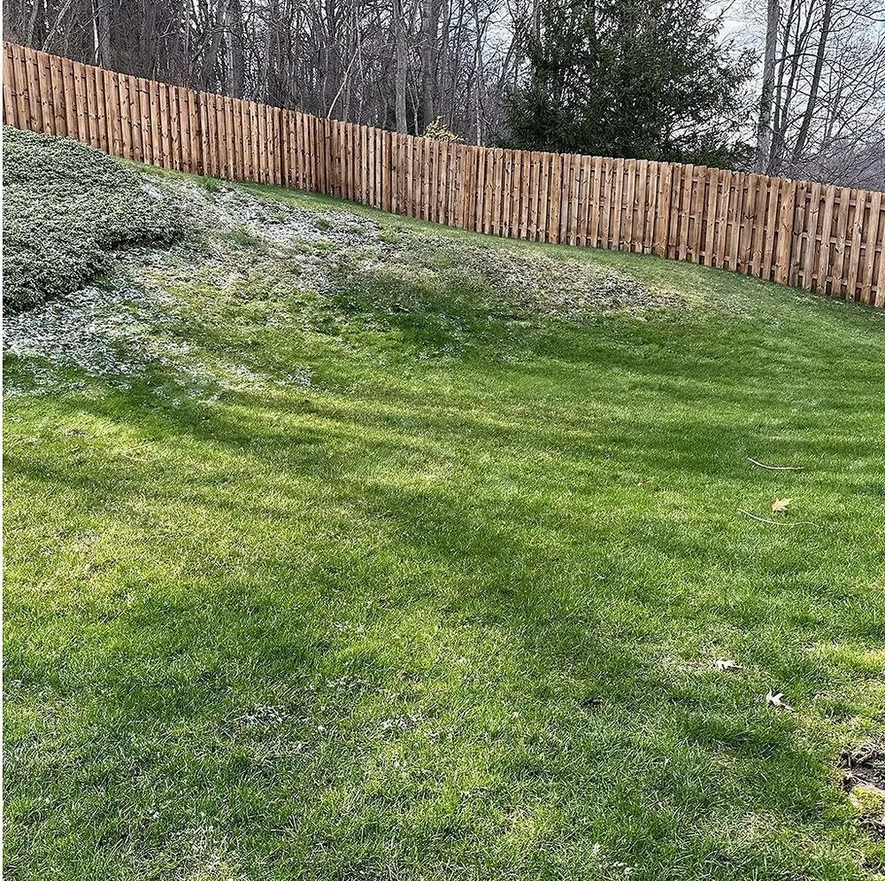 Affordable outdoor landscaping in Washington DC, DC by Petworth Lawn Care