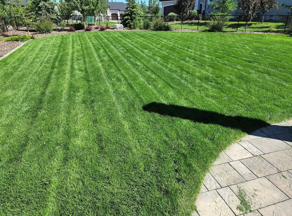 Expert garden landscaping in Washington DC, DC by Petworth Lawn Care