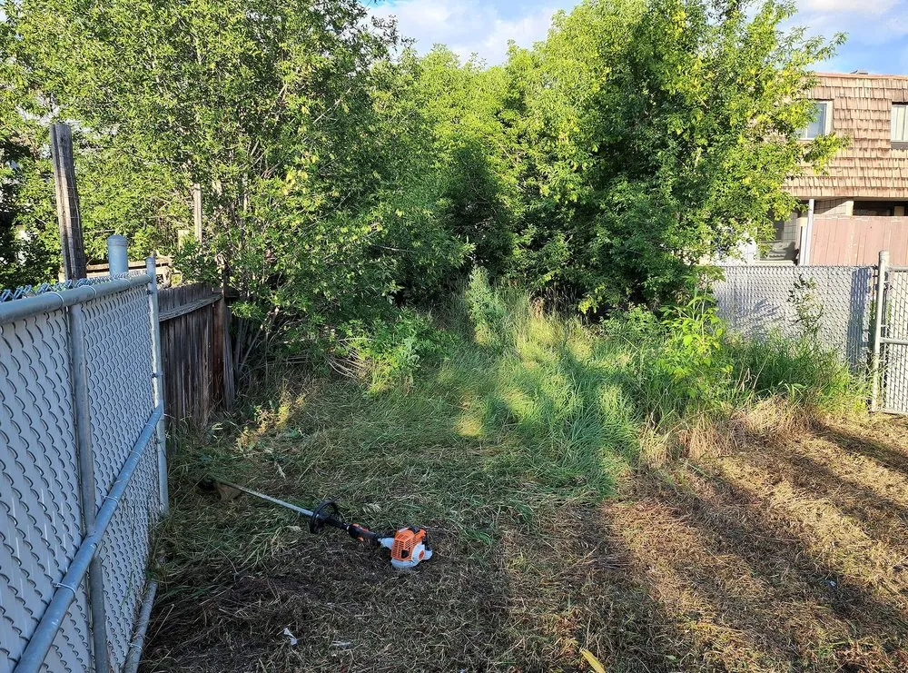 Expert landscape design for year-round maintenance in Washington DC, DC by Petworth Lawn Care