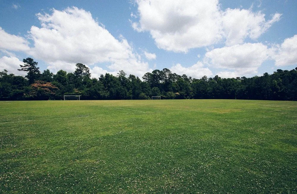 Trusted landscaping services near you in Washington DC, DC by Petworth Lawn Care