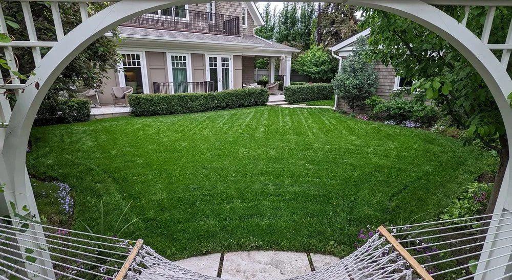 Expert landscaping services for beautiful yards across Washington DC, DC - Petworth Lawn Care