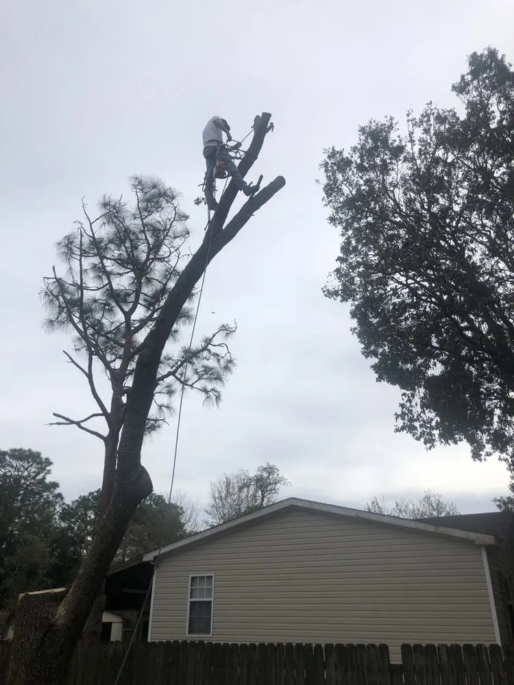 Top-rated residential landscaping experts serving Navarre, FL - Pewitt LawnCare