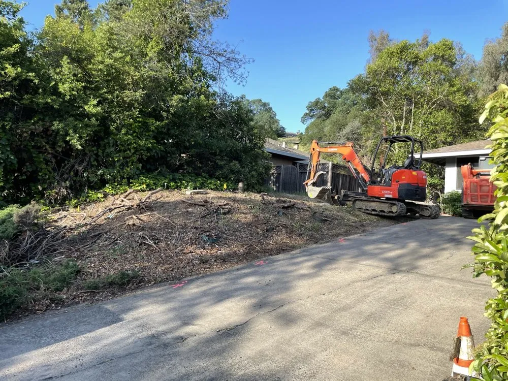 Local landscaping services experts serving Elverta, CA - Peyton Land Management