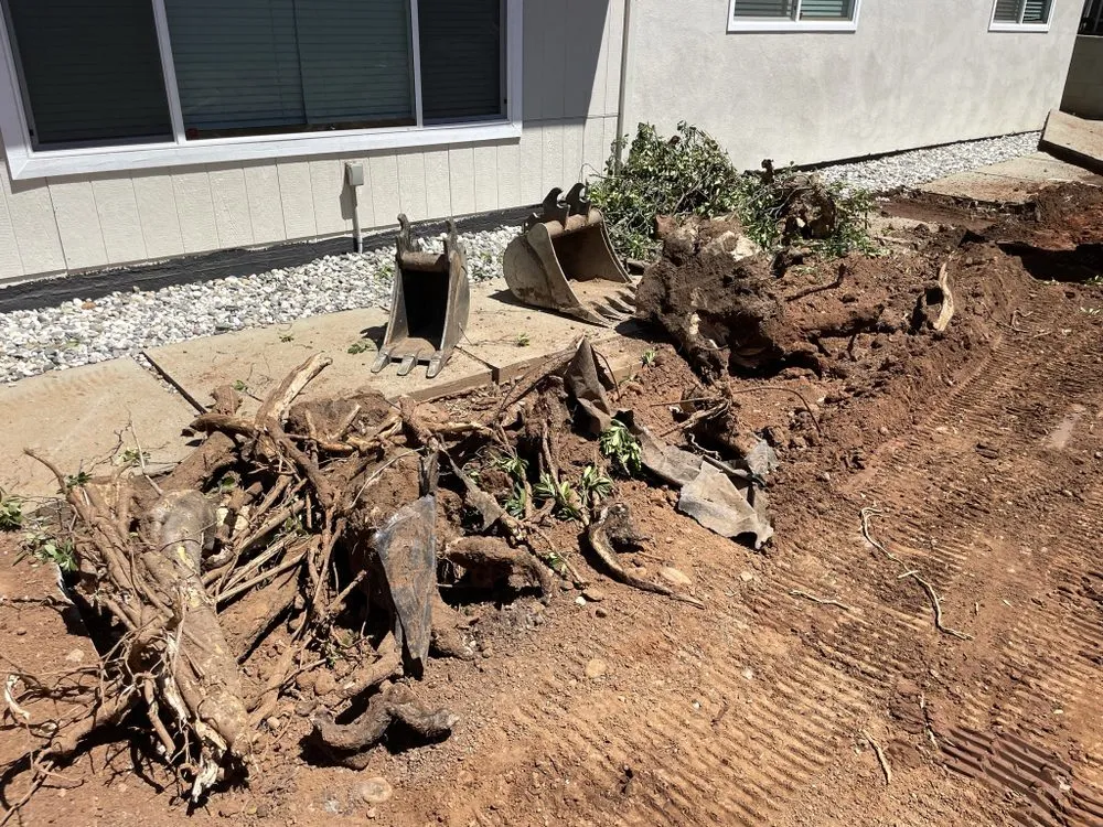 Reliable residential landscaping in Elverta, CA by Peyton Land Management