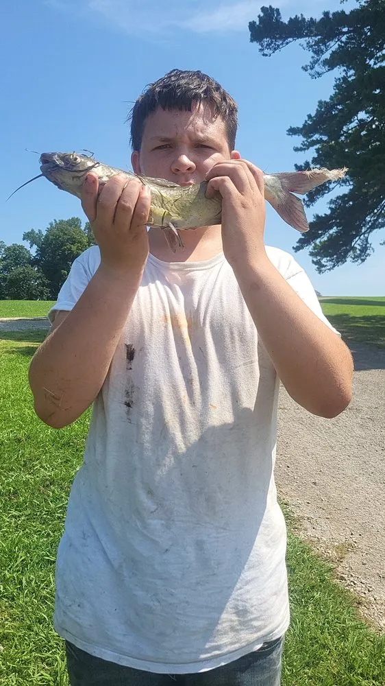 Top-rated yard maintenance in Rossville, GA - Peytons Lawn Care