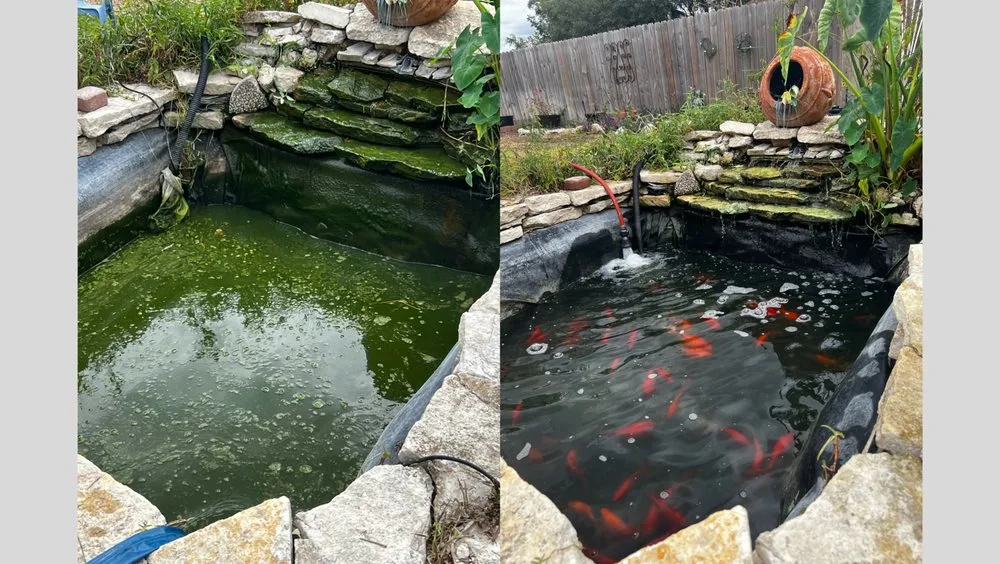 Local landscape design for outdoor upgrades in Schertz, TX by Peyton's Pond Services