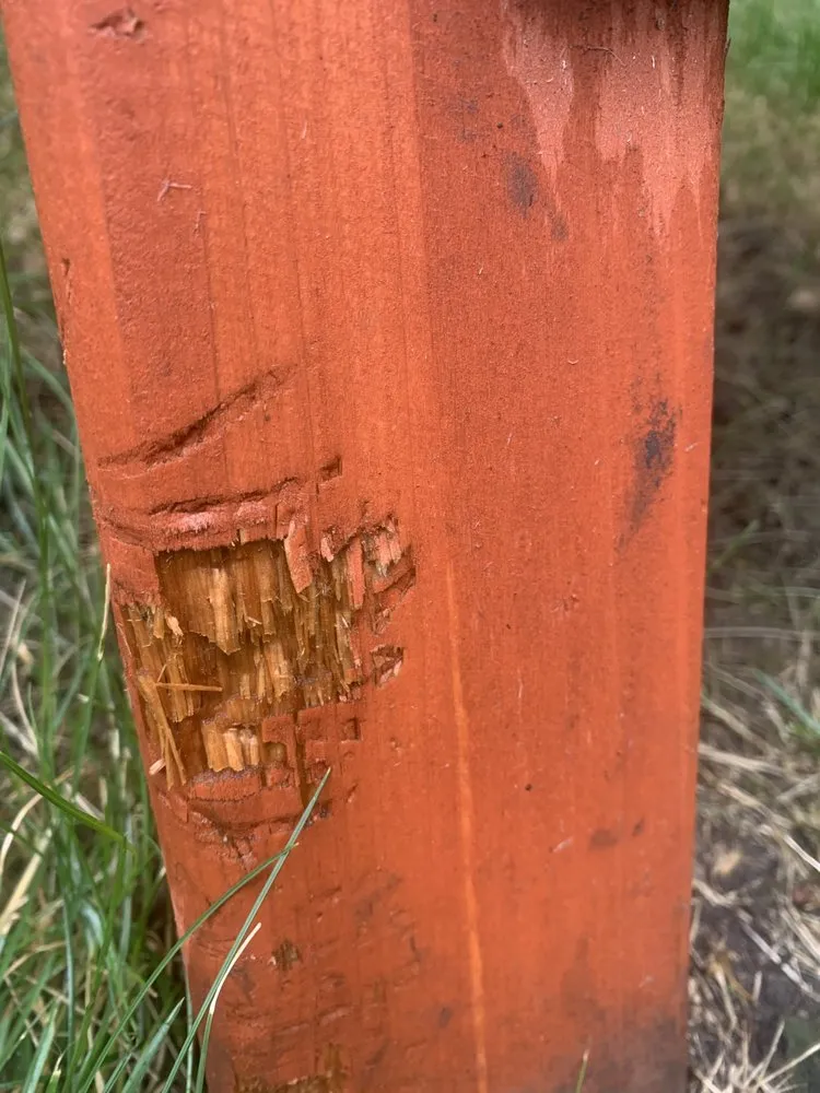 Top-rated landscape design in Warrenville, IL - Pezza Landscape