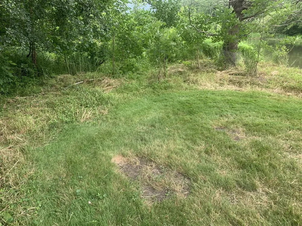 Top-rated residential landscaping experts serving Warrenville, IL - Pezza Landscape