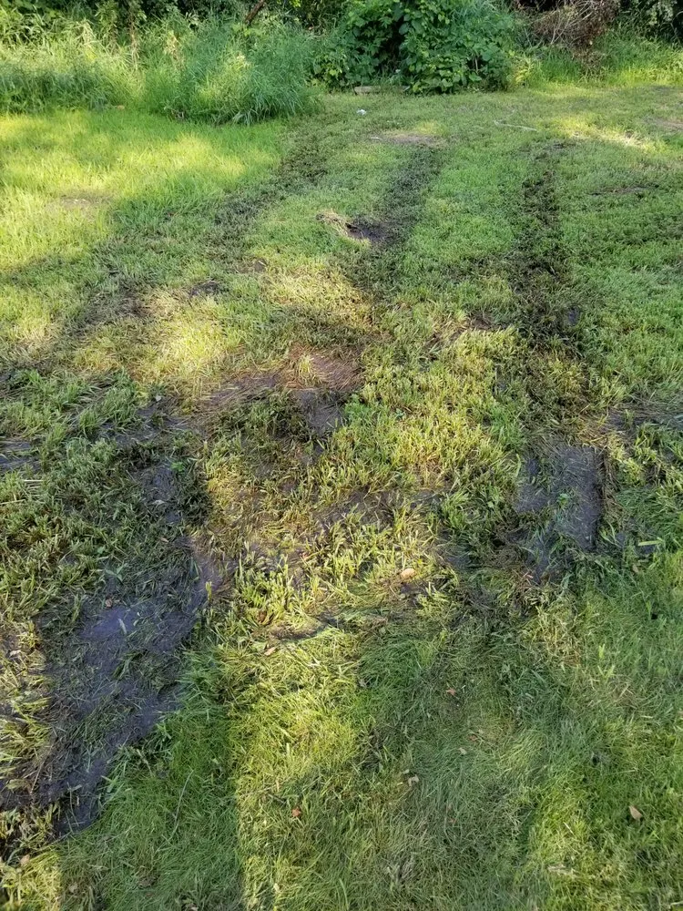 Professional residential landscaping experts serving Warrenville, IL - Pezza Landscape