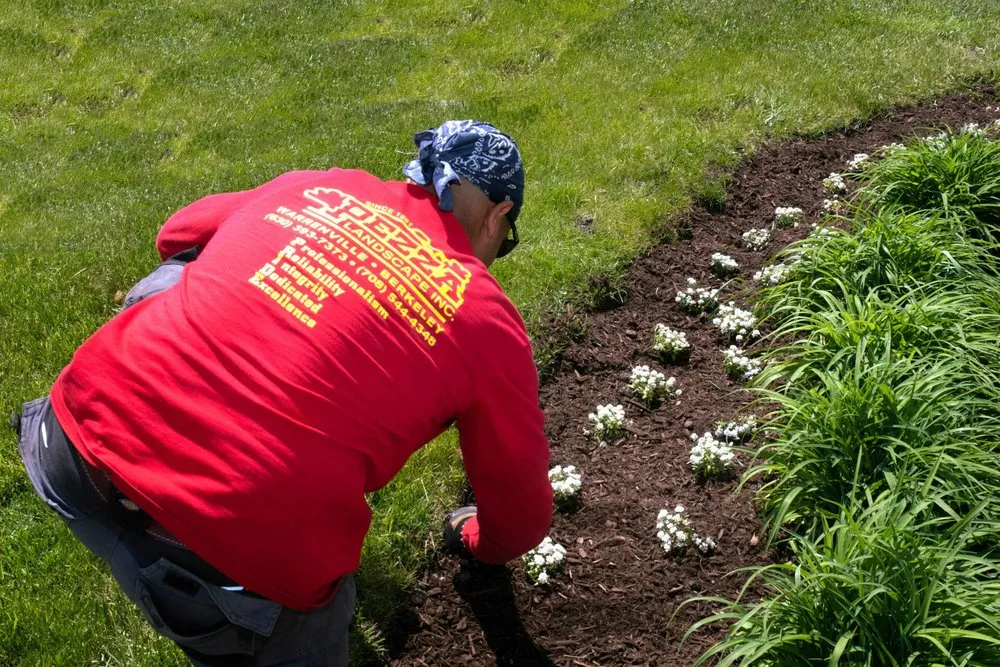 Professional yard cleanup service experts serving Warrenville, IL - Pezza Landscape
